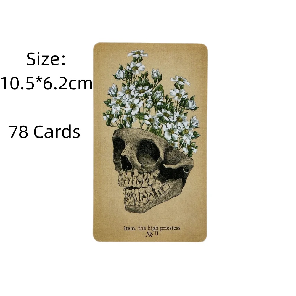 앤티크 해부학 타로 카드 78 데크 오라클 영어 비전  - Card Game Deck 리뷰 및 가격