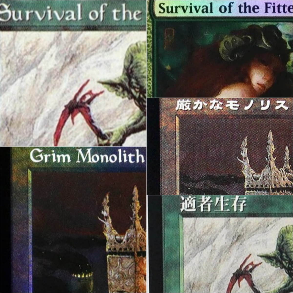 그림 모노리스/강하고 강한 자만이 살아남는다 TCG 프 - Board Game Survive The Island 리뷰 및 가격